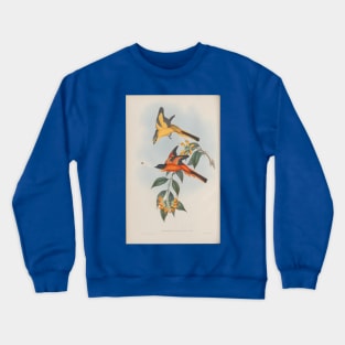 Birds Feeding Crewneck Sweatshirt